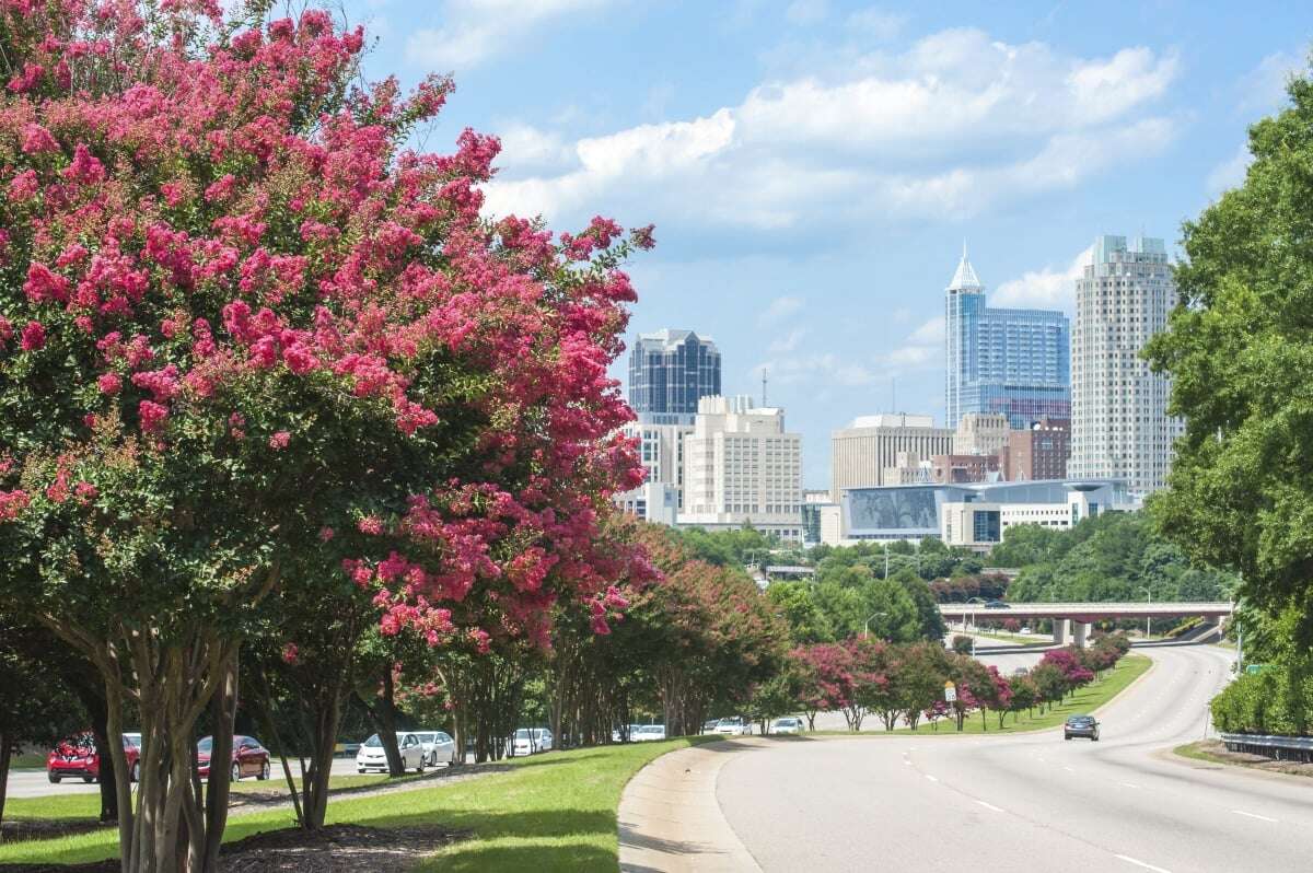 Downtown Raleigh 