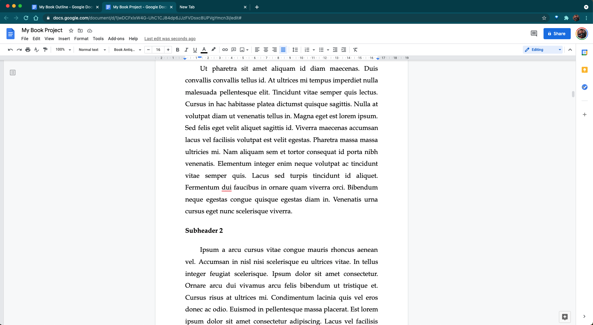 writing a novel on google docs